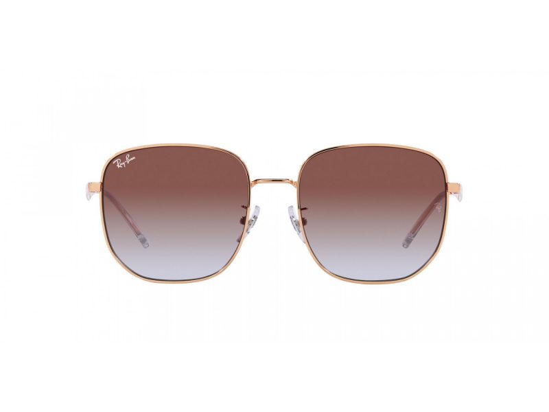 Ray-Ban Solglasögon RB 3713D 9202I8