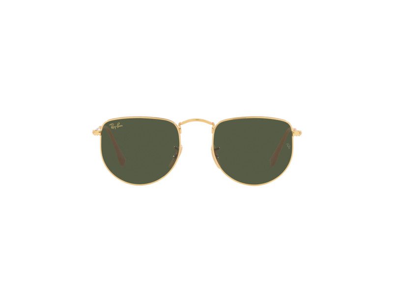 Ray-Ban Elon Solglasögon RB 3958 9196/31