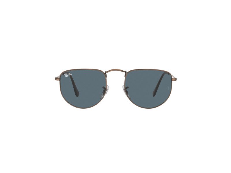 Ray-Ban Elon Solglasögon RB 3958 9230/R5