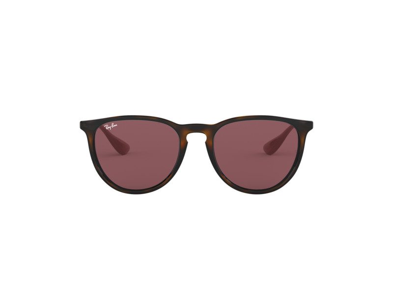 Ray-Ban Erika Solglasögon RB 4171 6391/75