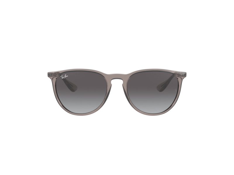 Ray-Ban Erika Solglasögon RB 4171 6513/8G