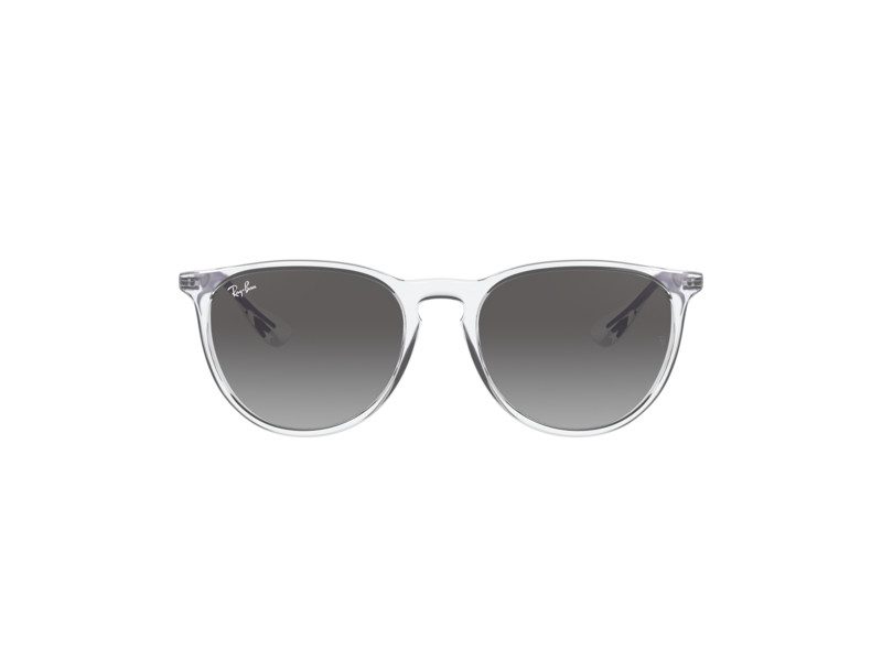 Ray-Ban Erika Solglasögon RB 4171 6516/11