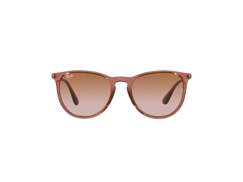 Ray-Ban Erika Solglasögon RB 4171 6590/13