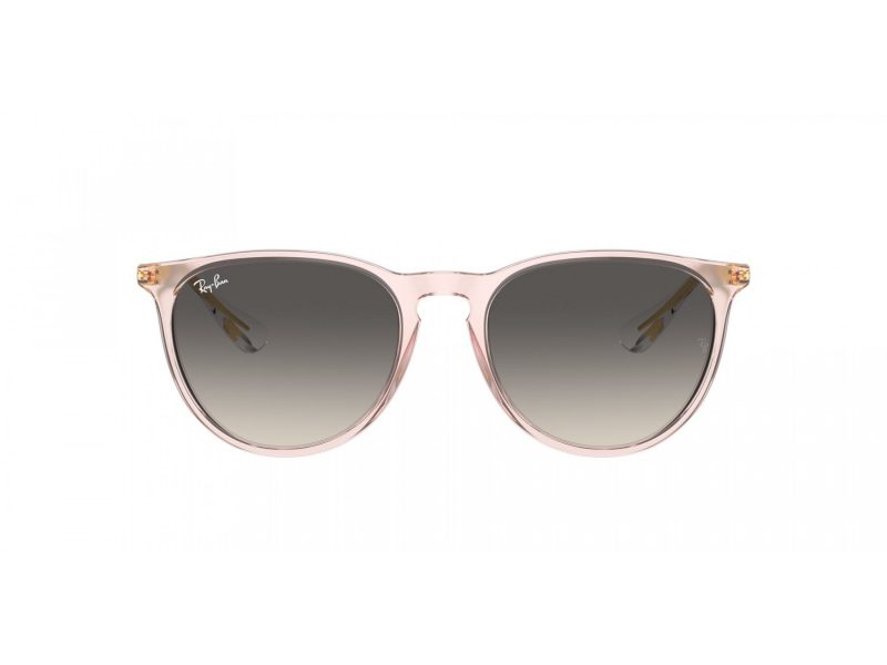 Ray-Ban Erika Solglasögon RB 4171 674211