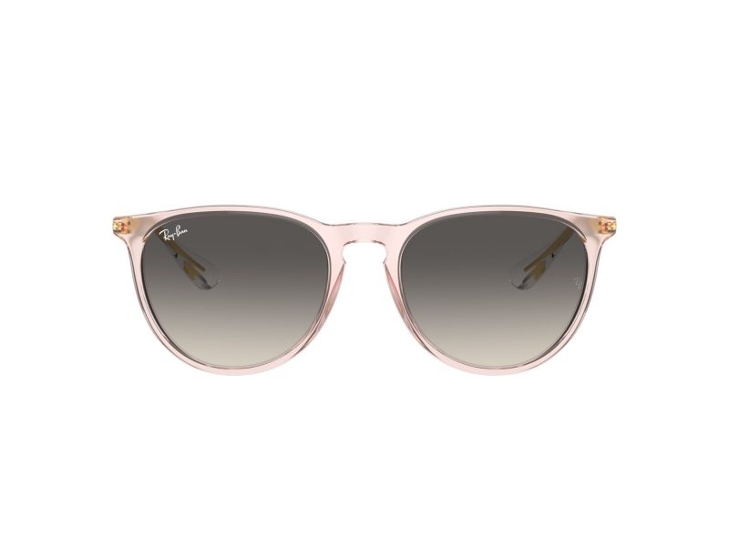 Ray-Ban Erika Solglasögon RB 0RB4171 674211