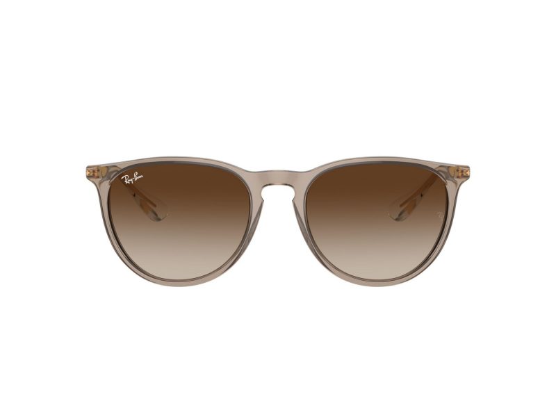 Ray-Ban Erika Solglasögon RB 0RB4171 674413