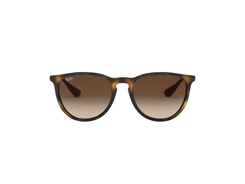 Ray-Ban Erika Solglasögon RB 4171 865/13