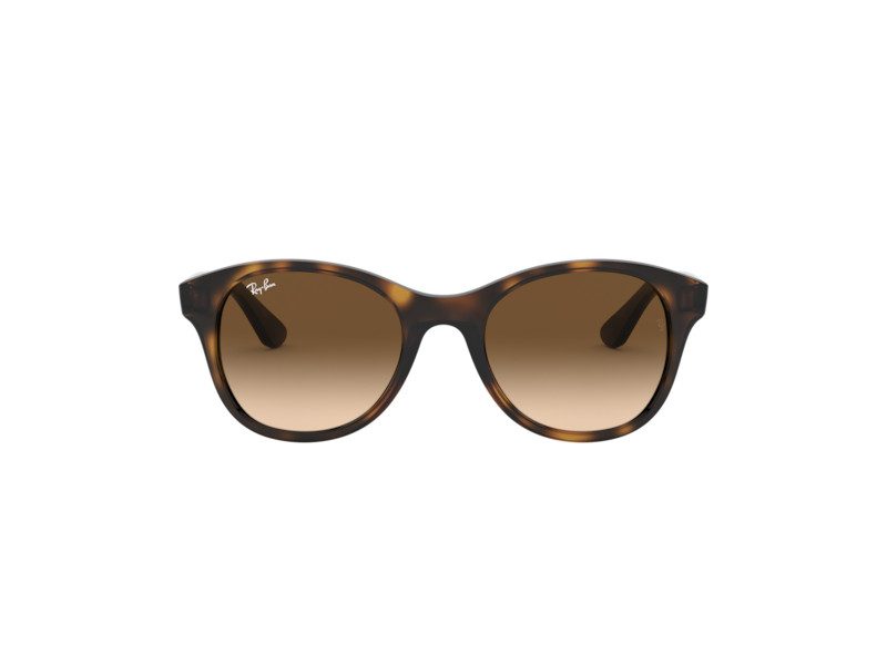 Ray-Ban Solglasögon RB 4203 710/13