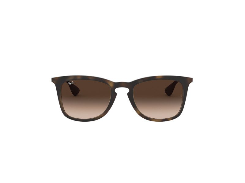 Ray-Ban Solglasögon RB 4221 865/13