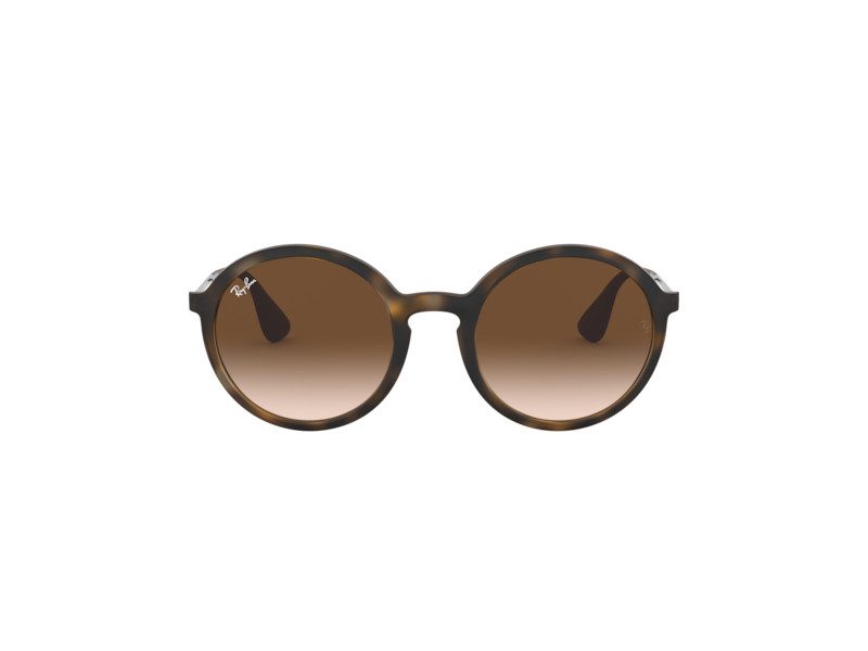 Ray-Ban Solglasögon RB 4222 865/13