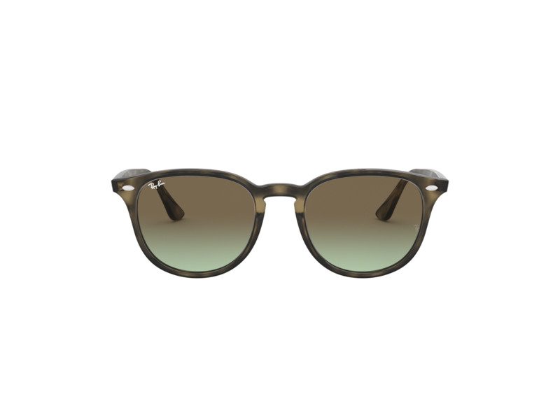 Ray-Ban Solglasögon RB 4259 731/E8