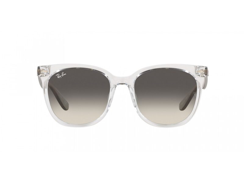 Ray-Ban Solglasögon RB 4379D 659811