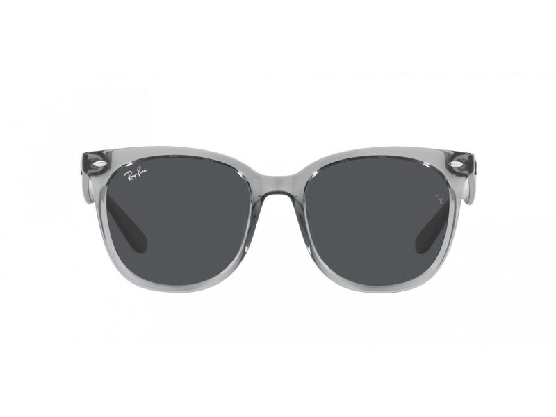 Ray-Ban Solglasögon RB 4379D 659987