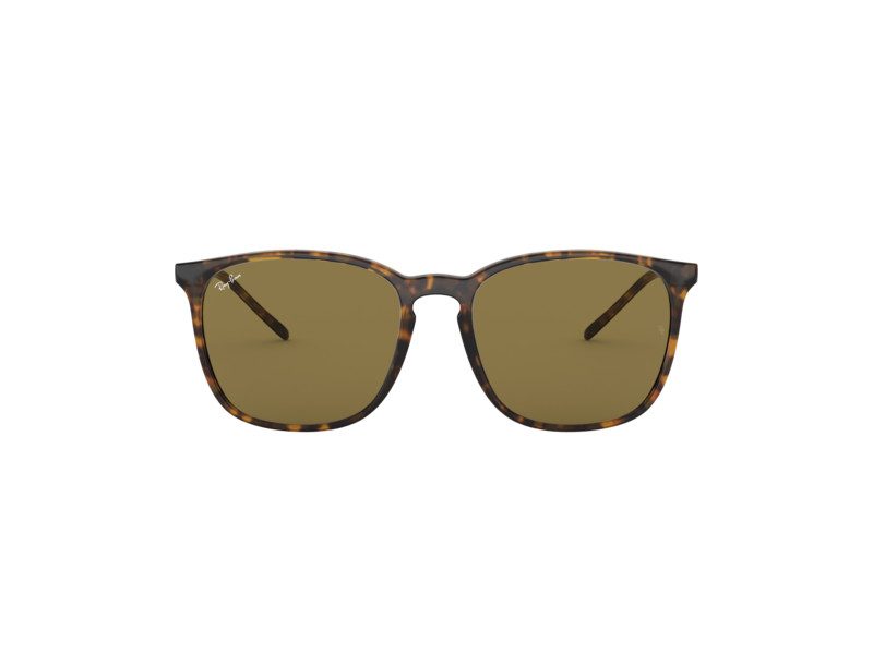 Ray-Ban Solglasögon RB 4387 710/73