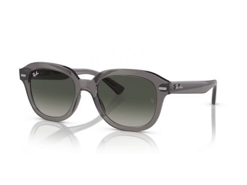 Ray-Ban Erik Solglasögon RB 4398 667571