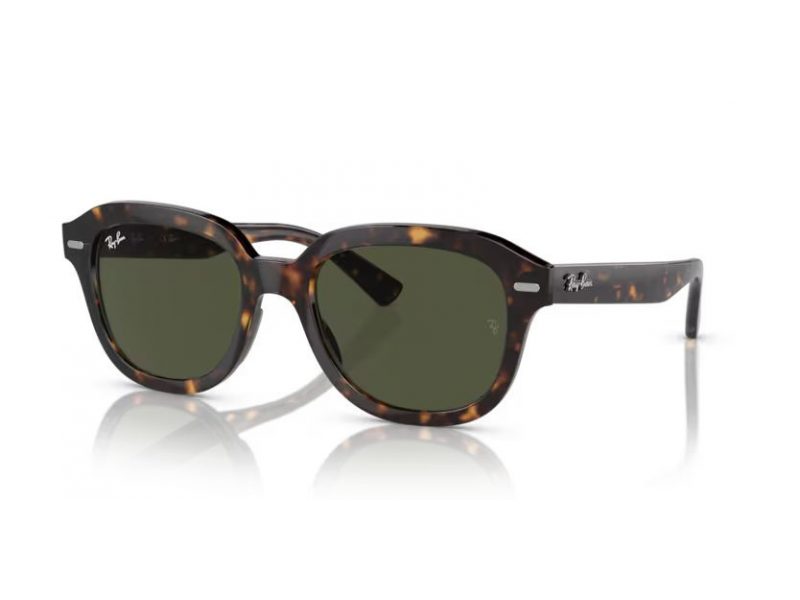 Ray-Ban Erik Solglasögon RB 4398 902/31