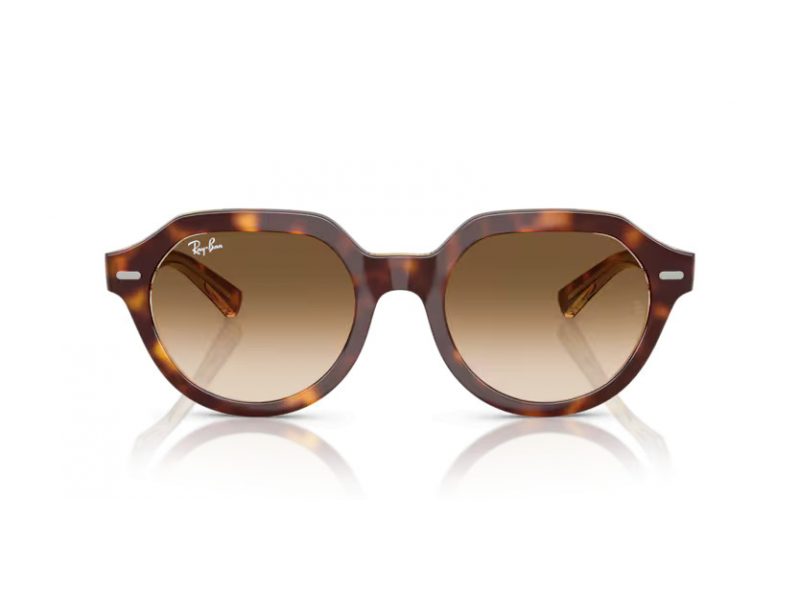 Ray-Ban Gina Solglasögon RB 4399 141451