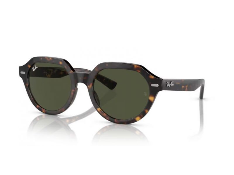 Ray-Ban Gina Solglasögon RB 4399 902/31