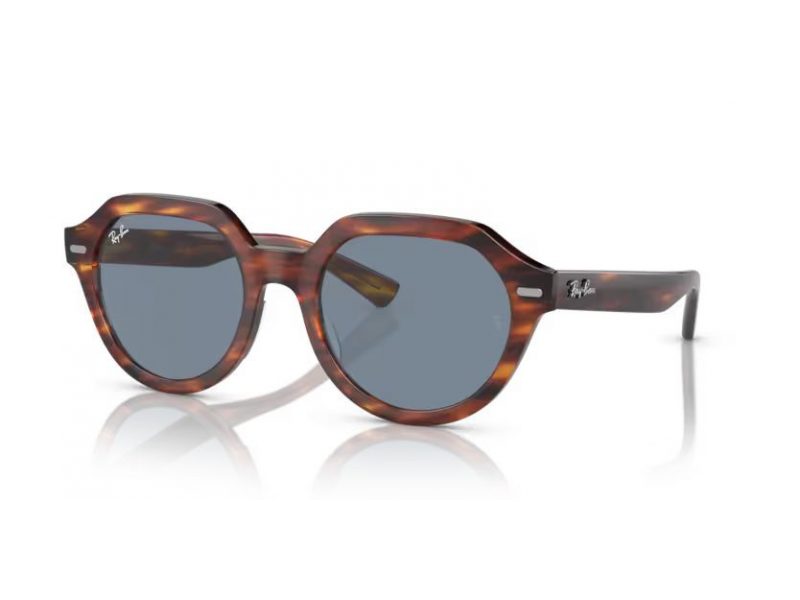 Ray-Ban Gina Solglasögon RB 0RB4399 954/62