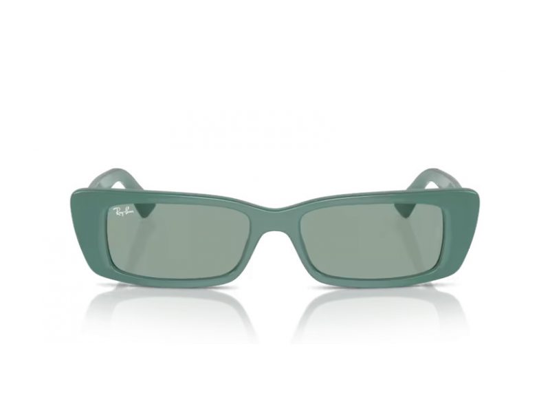 Ray-Ban Teru Solglasögon RB 4425 676282