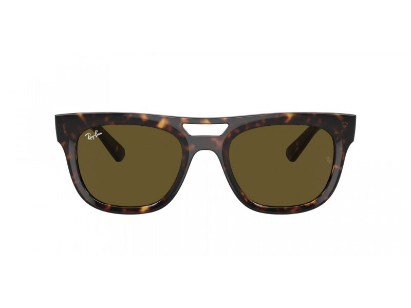 Ray-Ban Phil Solglasögon RB 4426 135973