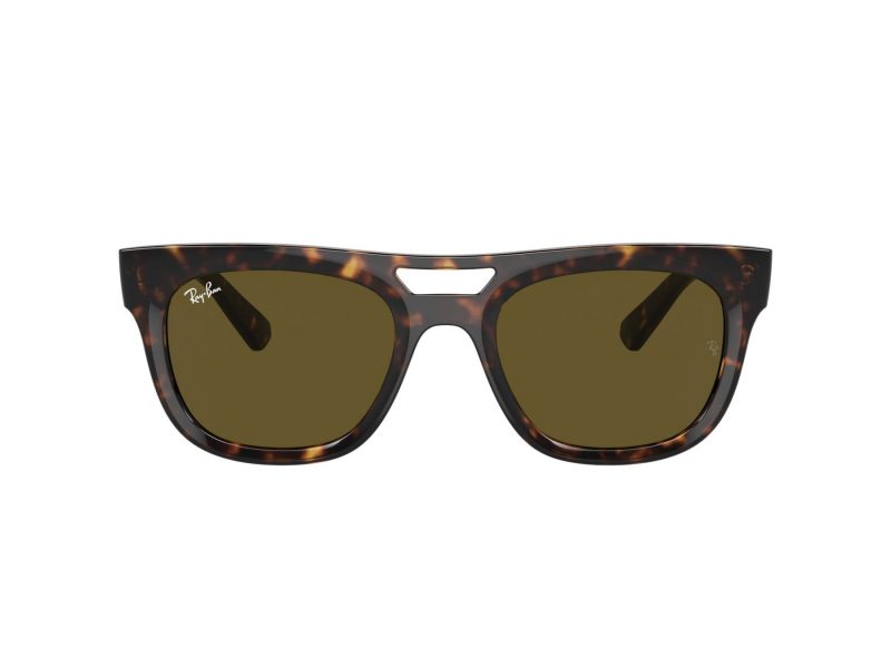 Ray-Ban Phil Solglasögon RB 0RB4426 135973