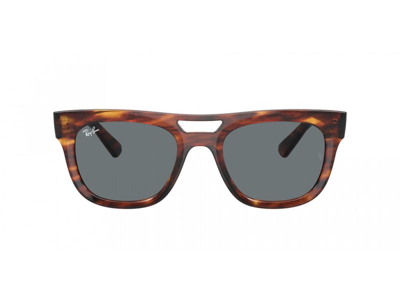 Ray-Ban Phil Solglasögon RB 4426 139880