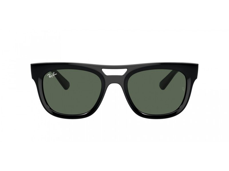 Ray-Ban Phil Solglasögon RB 4426 667771