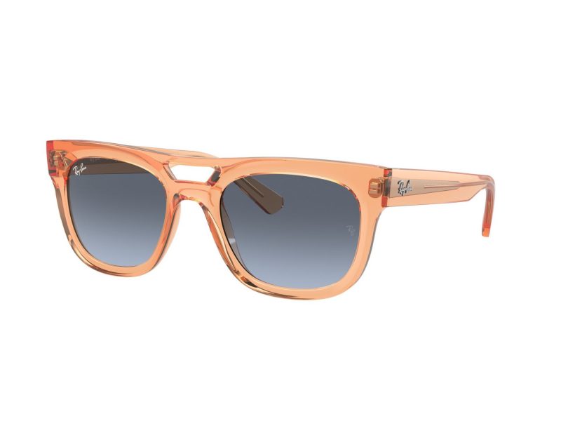 Ray-Ban Phil Solglasögon RB 0RB4426 66868F