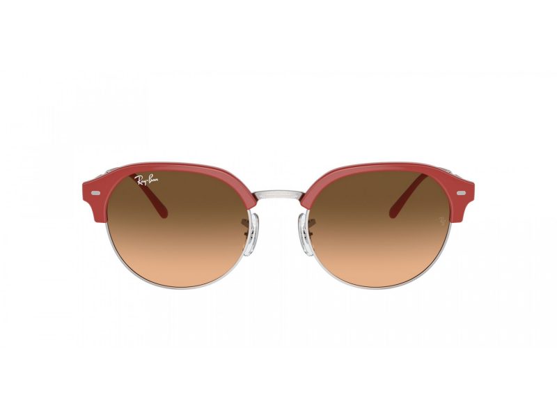 Ray-Ban Solglasögon RB 4429 67223B