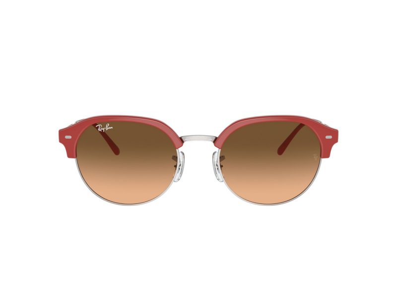 Ray-Ban Solglasögon RB 0RB4429 67223B