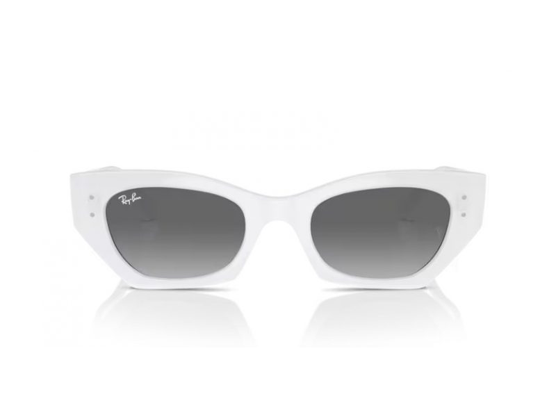 Ray-Ban Zena Solglasögon RB 4430 675911