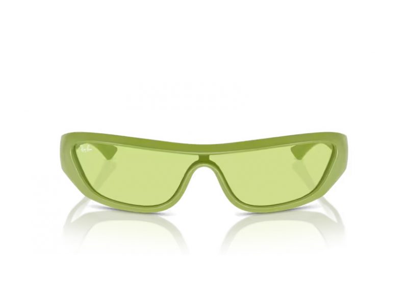 Ray-Ban Xan Solglasögon RB 4431 6763/2