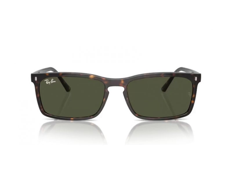 Ray-Ban Solglasögon RB 4435 902/31