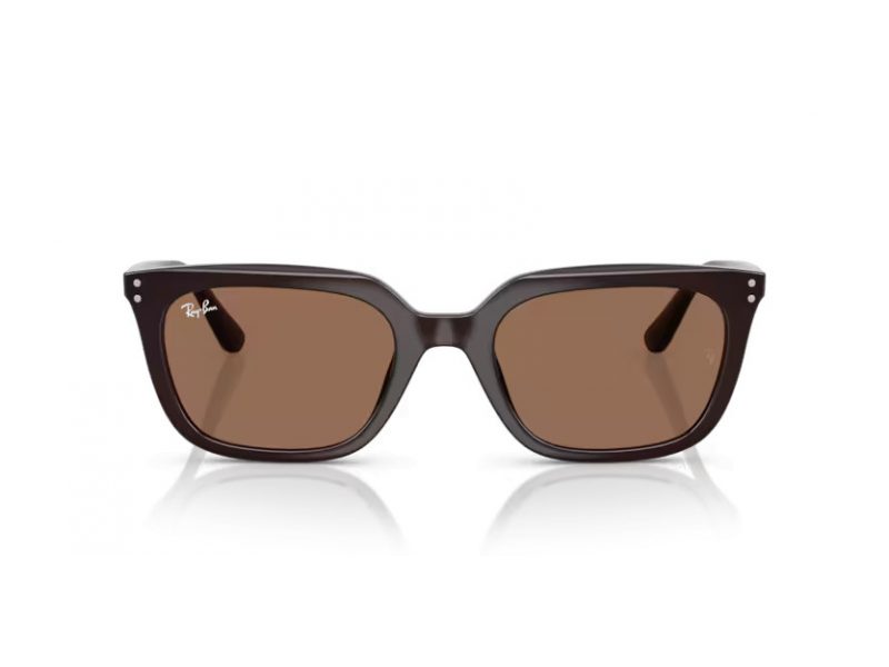 Ray-Ban Solglasögon RB 4439D 623173