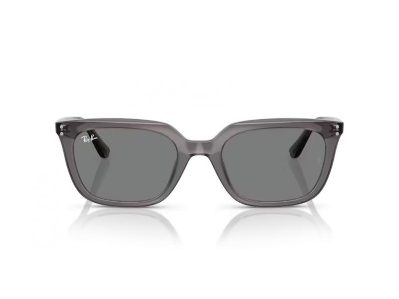 Ray-Ban Solglasögon RB 4439D 667587