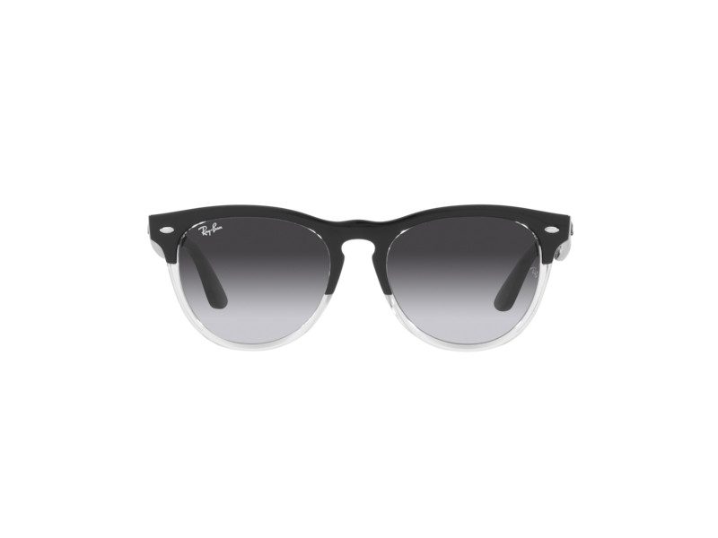 Ray-Ban Iris Solglasögon RB 4471 6630/8G