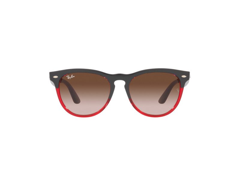 Ray-Ban Iris Solglasögon RB 4471 6631/13