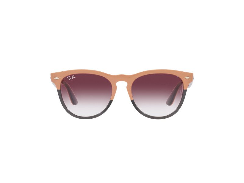 Ray-Ban Iris Solglasögon RB 4471 6633/8H