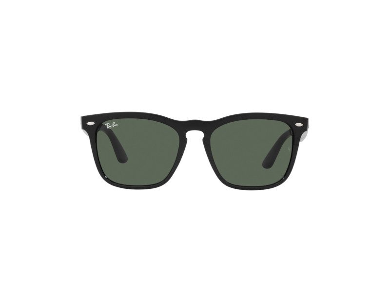 Ray-Ban Steve Glasögon RB 4487 662971