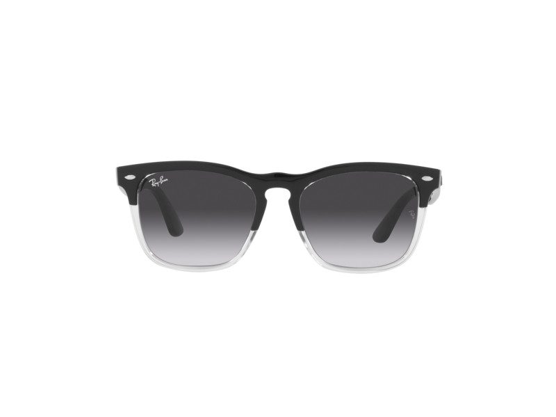 Ray-Ban Steve Glasögon RB 4487 66308G