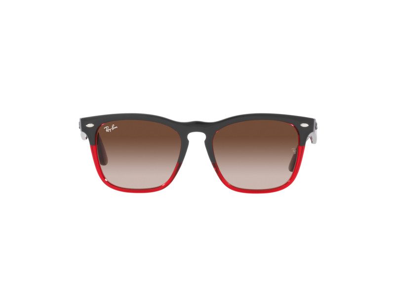 Ray-Ban Steve Glasögon RB 4487 663113