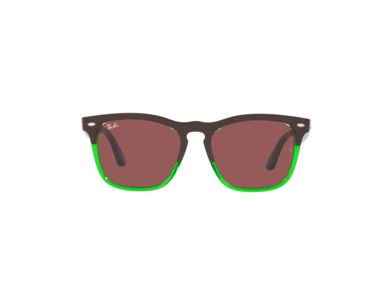 Ray-Ban Steve Glasögon RB 4487 663469