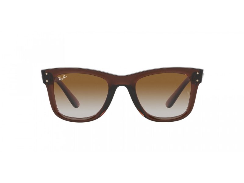 Ray-Ban Wayfarer Reverse Solglasögon RB R0502S 6709CB