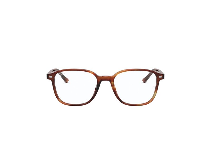 Ray-Ban Leonard Glasögon RX 5393 2144