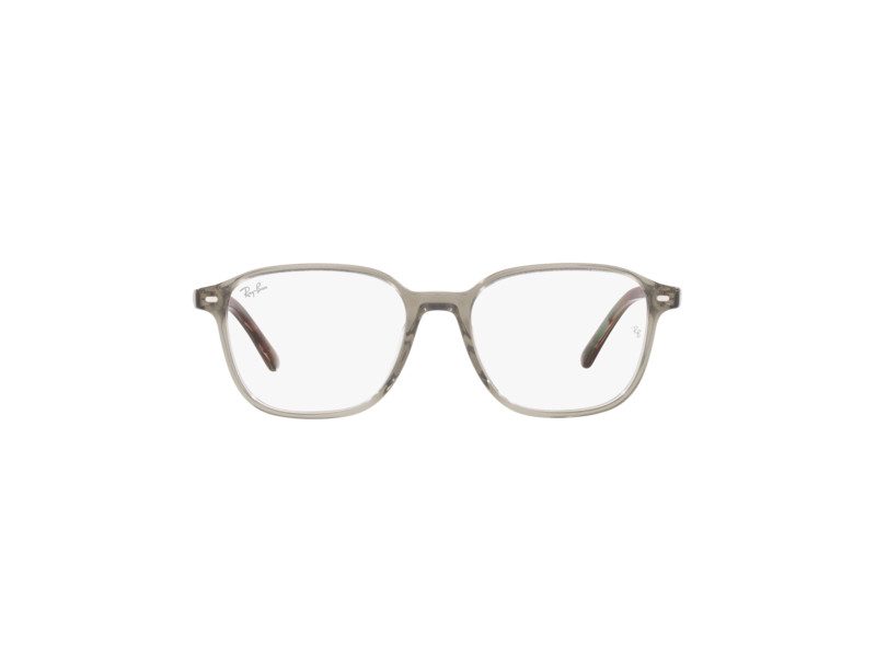 Ray-Ban Leonard Glasögon RX 5393 8178