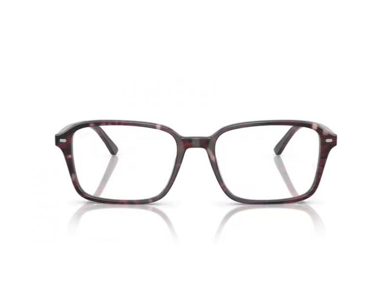 Ray-Ban Raimond Glasögon RX 5431 8393