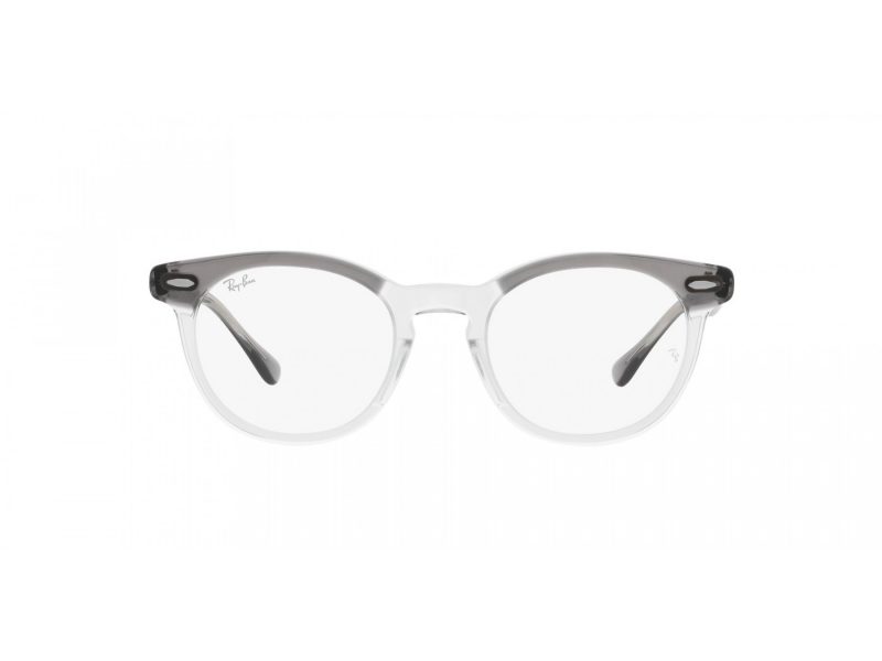 Ray-Ban Eagleeye Glasögon RX 5598 8111