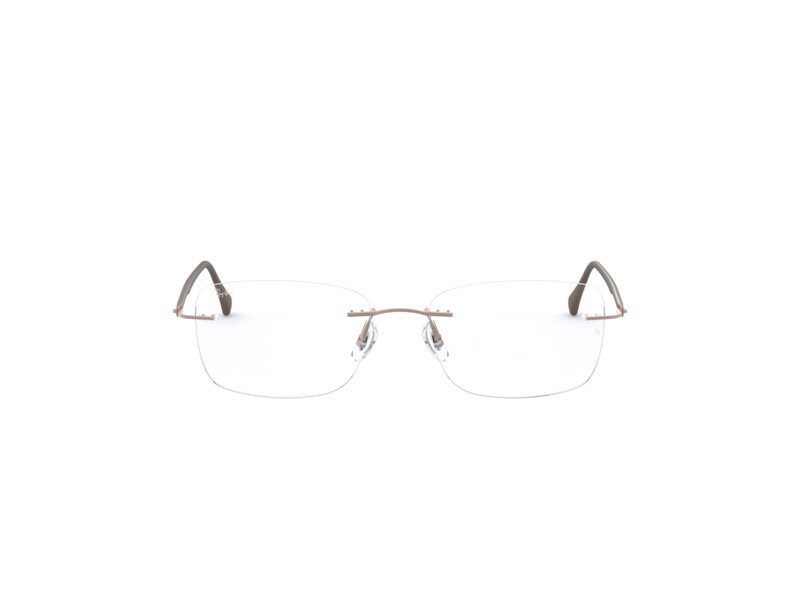 Ray-Ban Glasögon RX 8725 1131