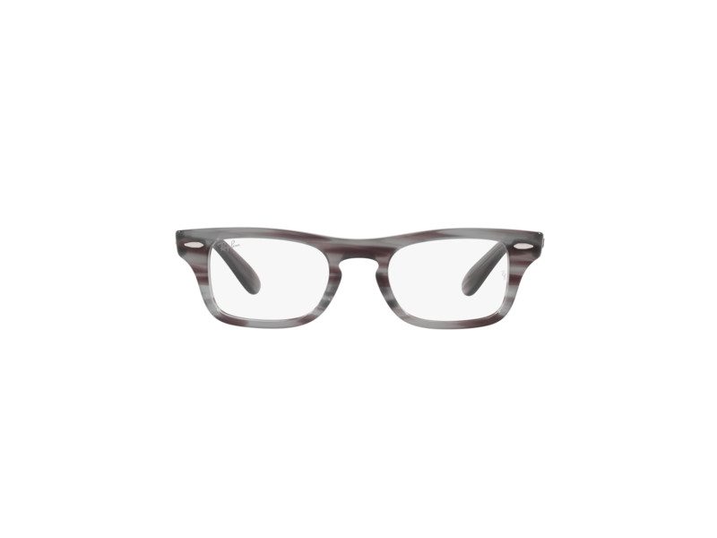 Ray-Ban Burbank Jr Glasögon RY 9083V 3850